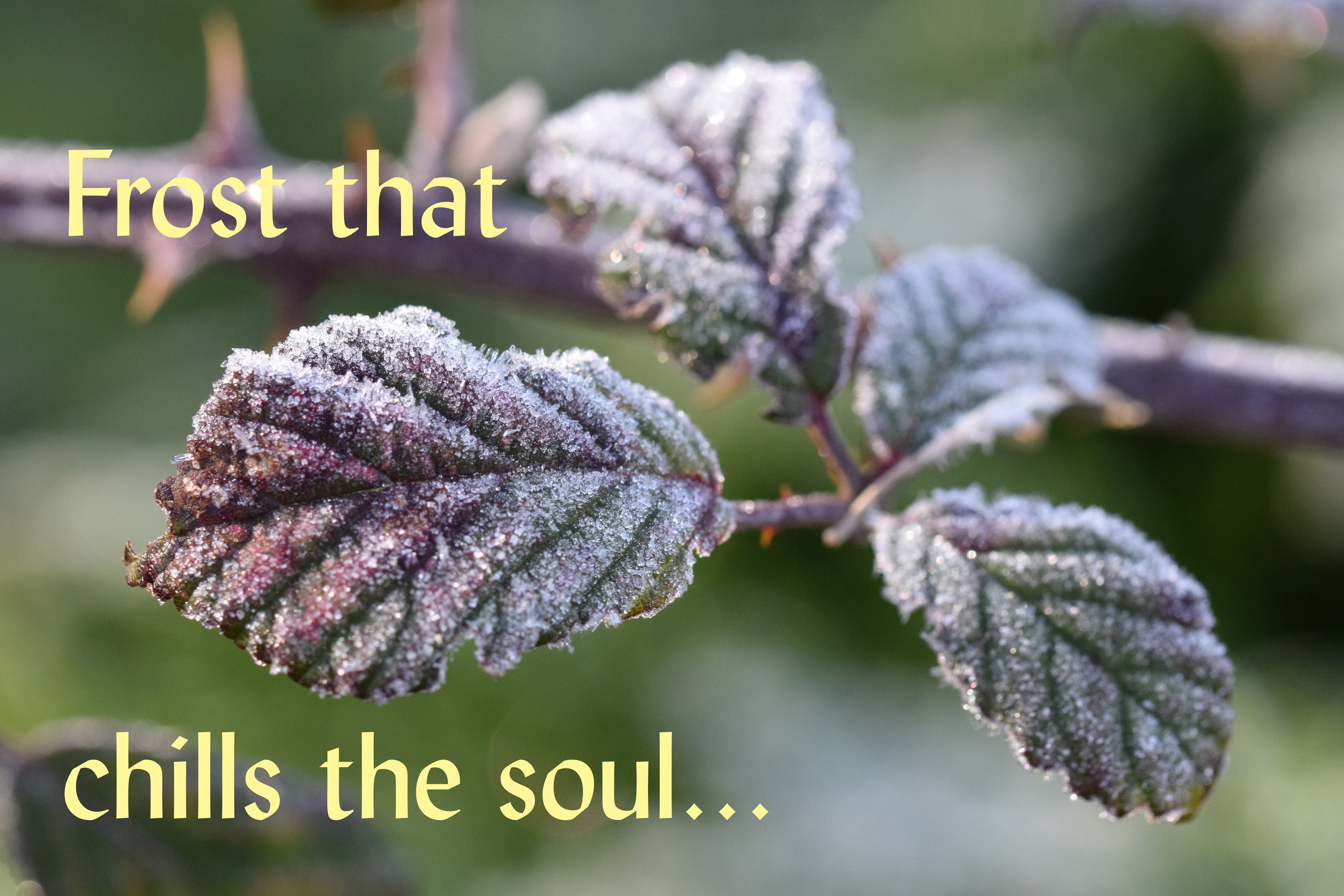 Frost that chills the soul Lent 2018