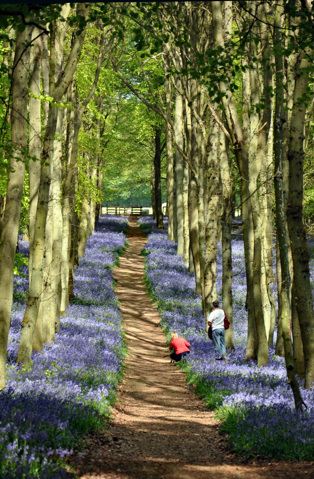 Trusted Pathway 0001Ashridge220411Q