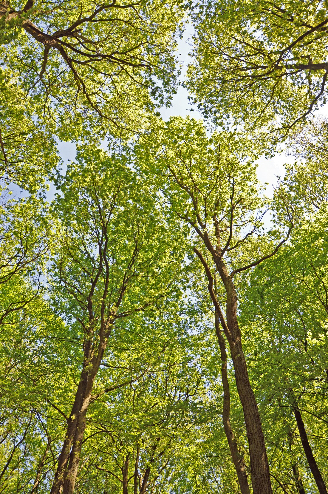 0004May 2012 general-ed