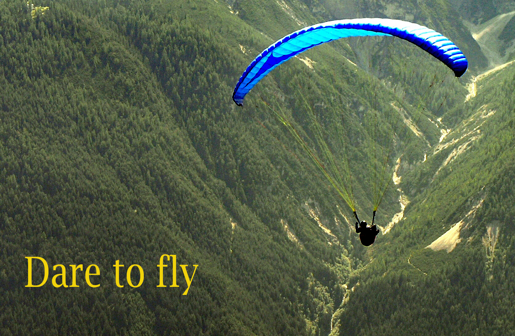 dare to fly.jpg