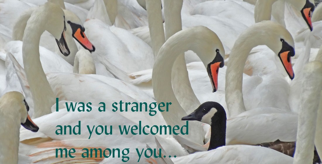 I was a stranger