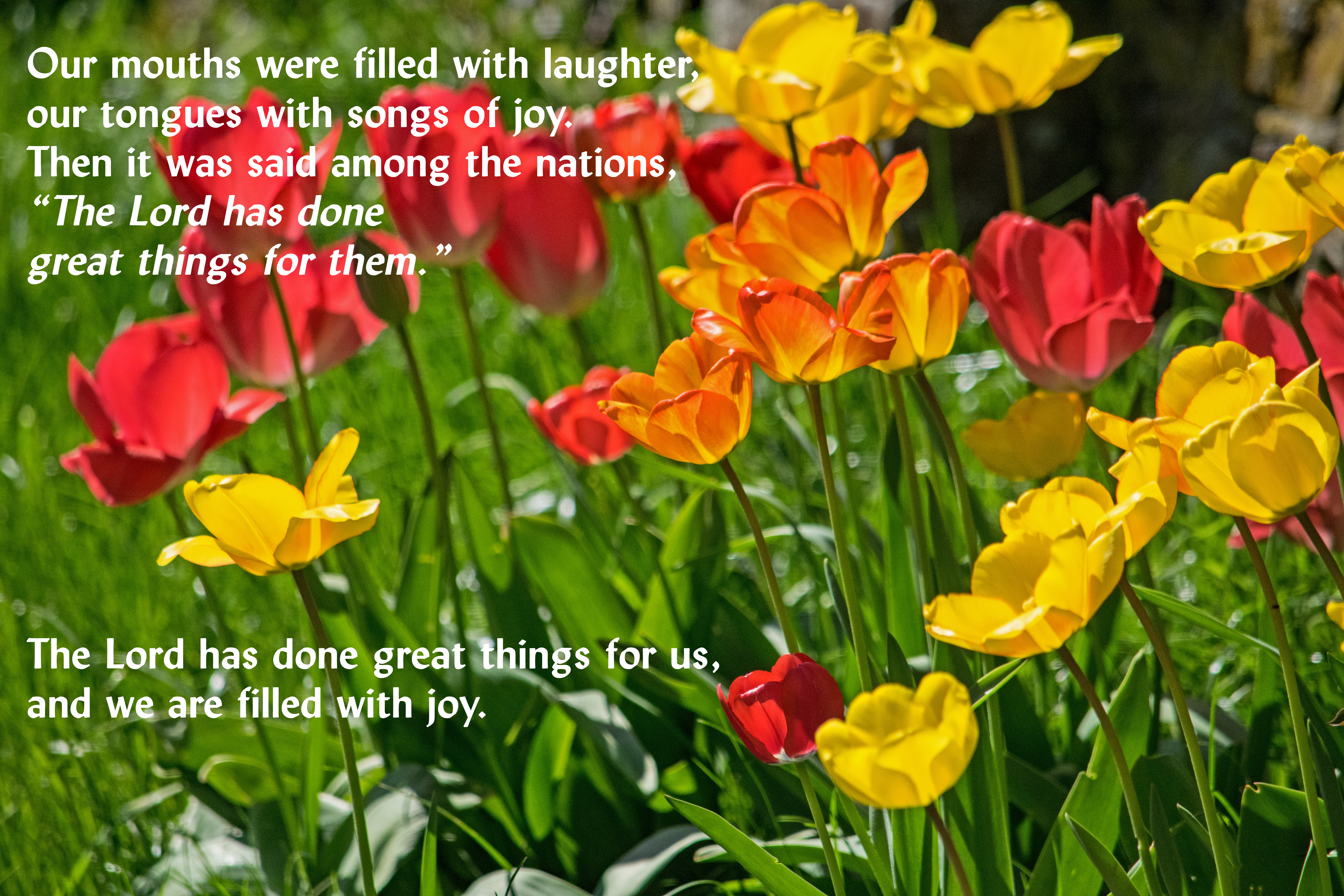 psalm 146 v2_3 063Country190418 edited.jpg