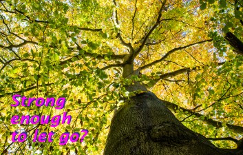 Let Go 026arundel08118aut