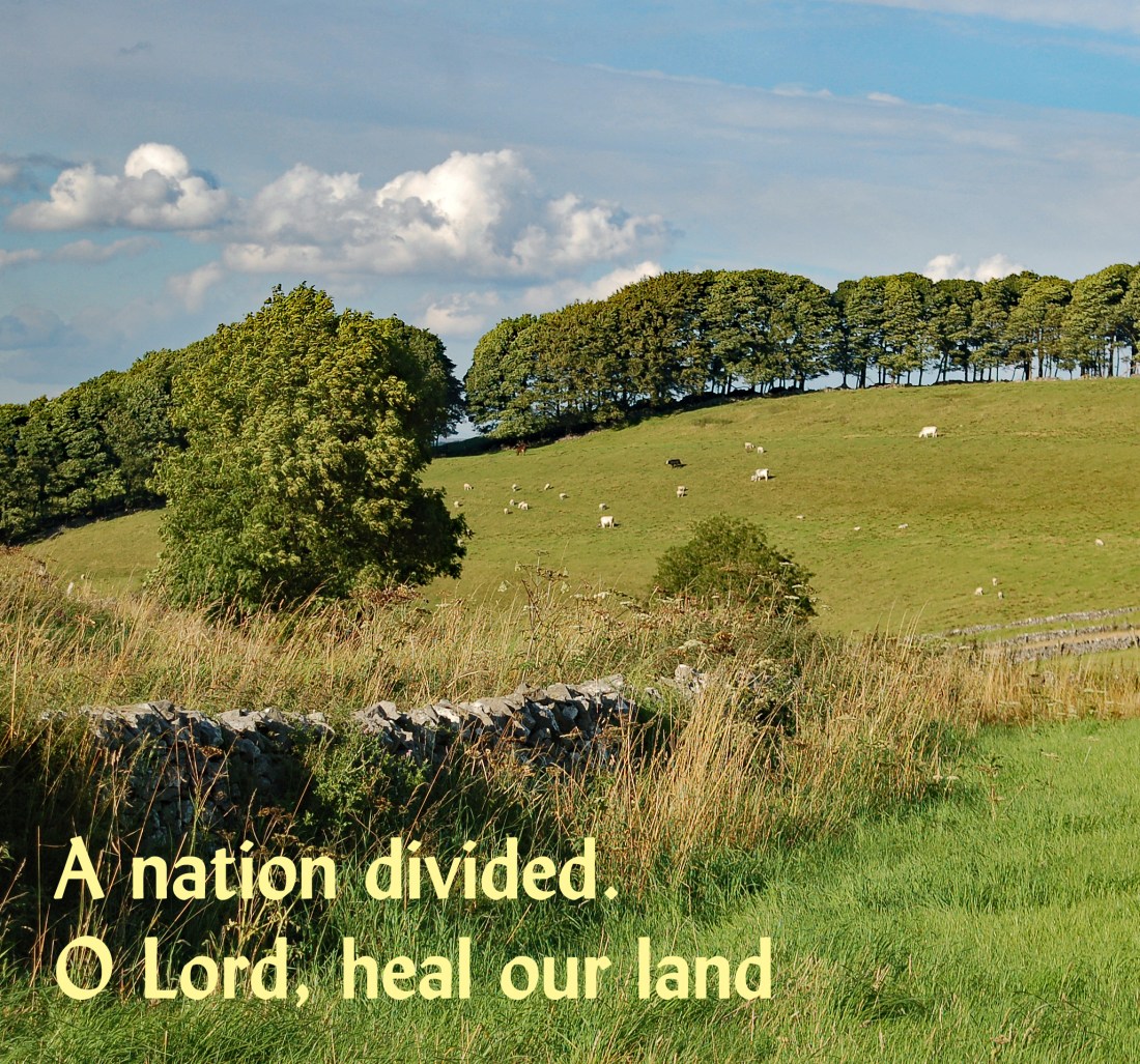 Nation divided Peaks2010_3804haze sq