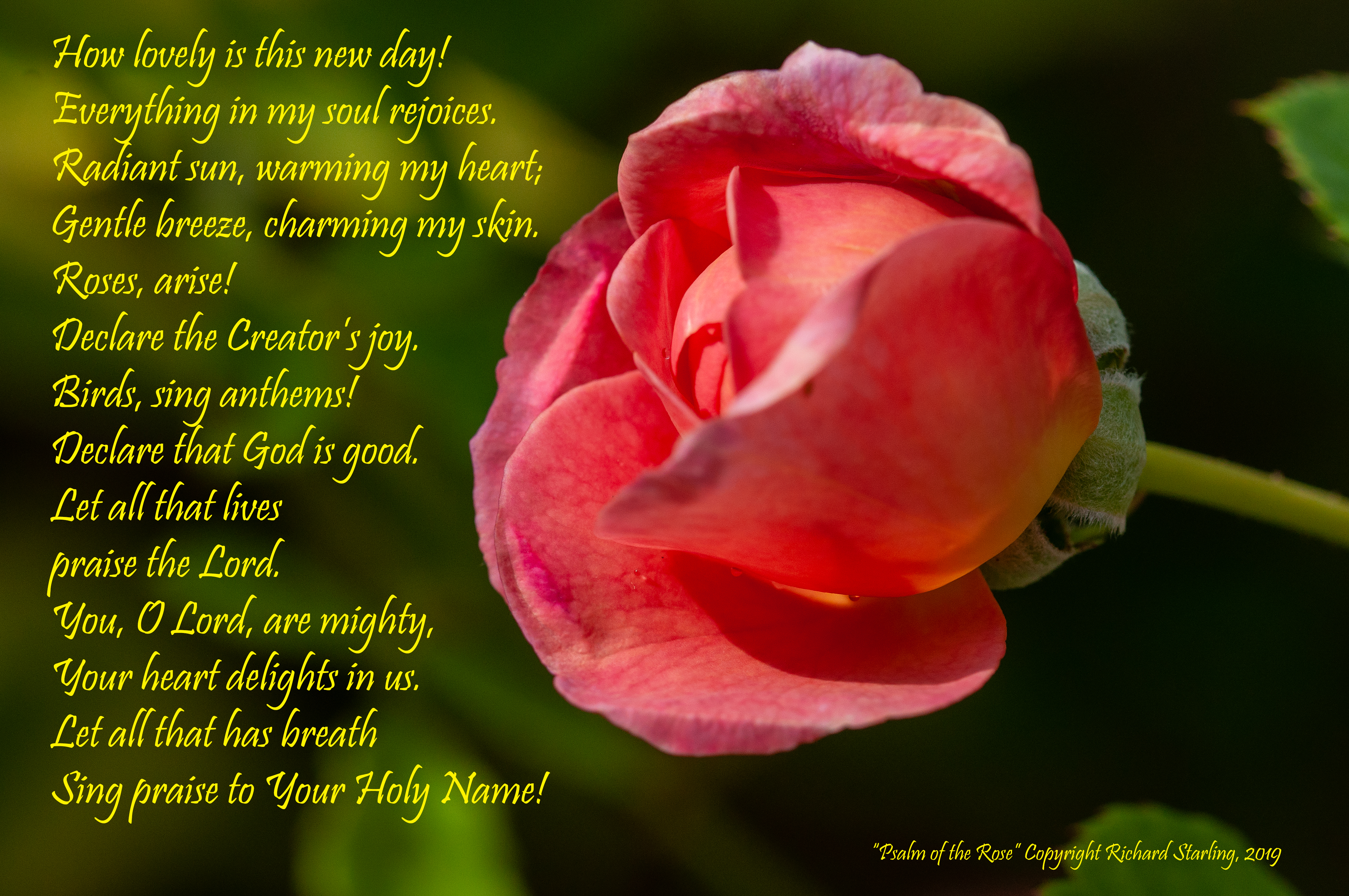 Psalm of the Rose 005gdn 140819edit