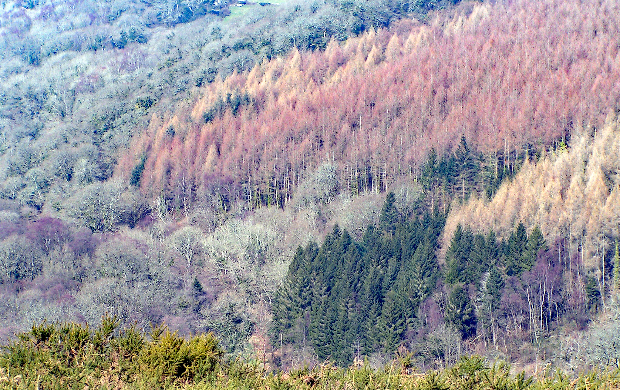 MINOLTA DIGITAL CAMERA