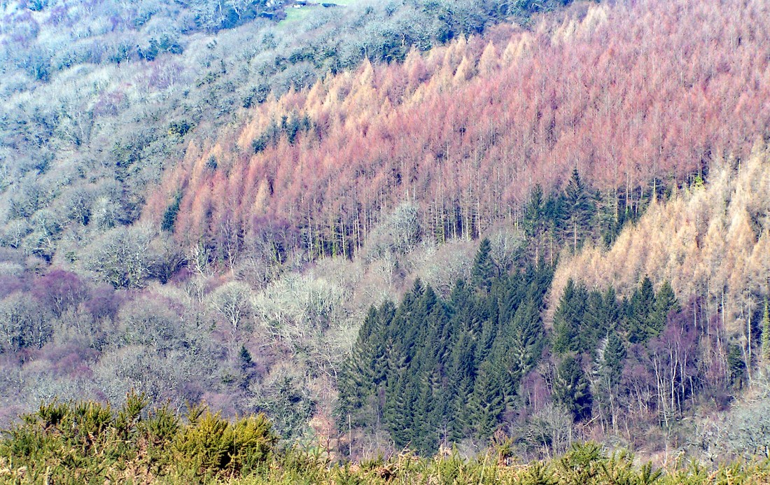 MINOLTA DIGITAL CAMERA