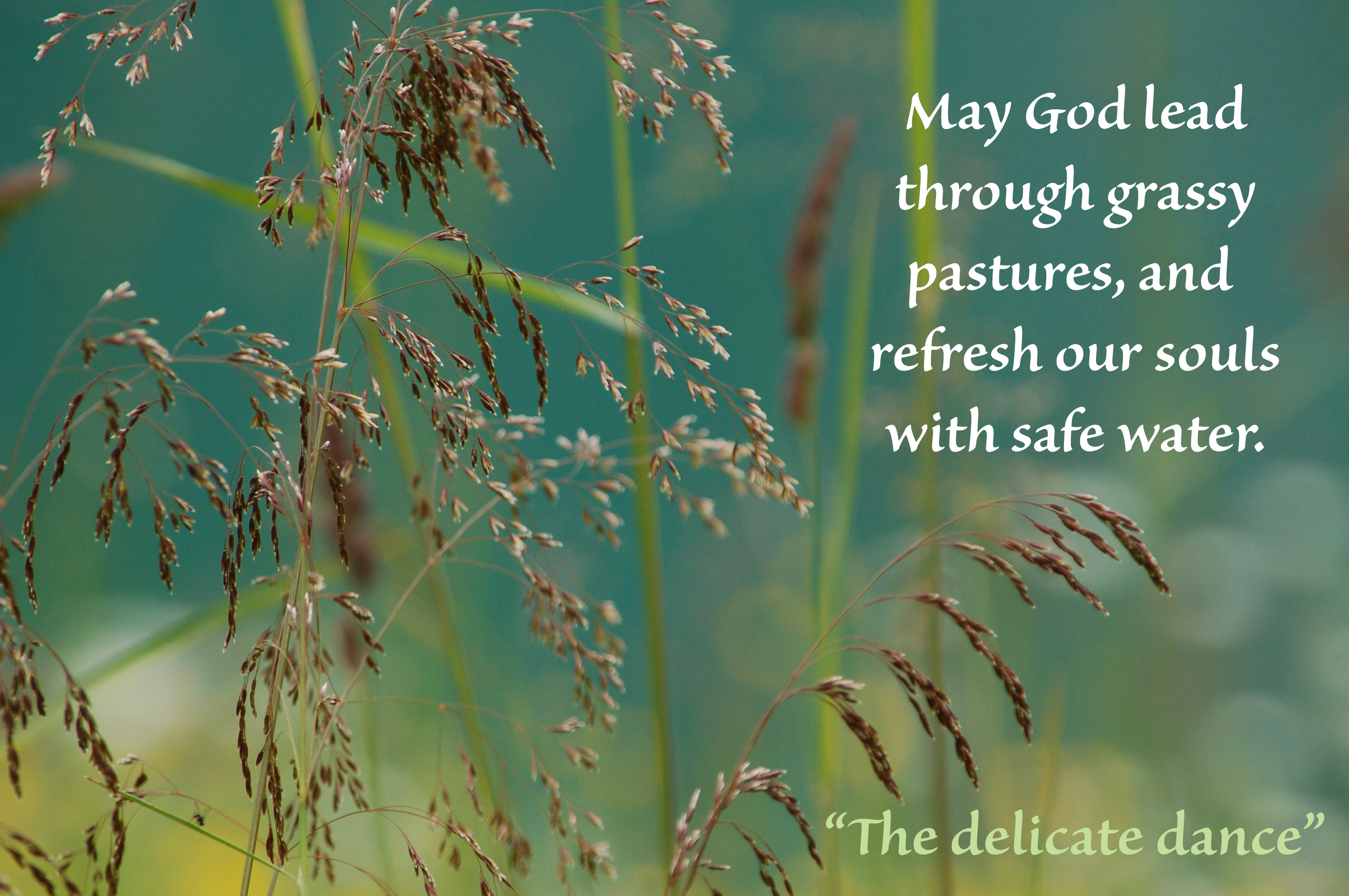 Delicate Dance Zillertal_1899