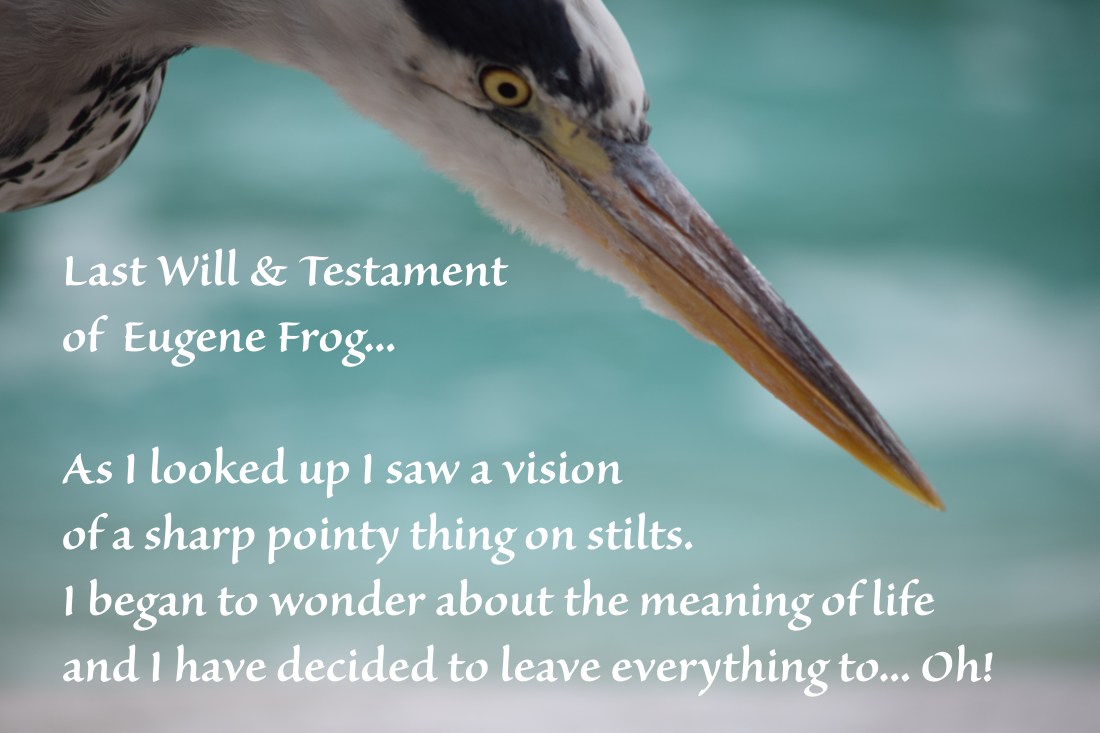 Heron bait view 030_zsl230715regent