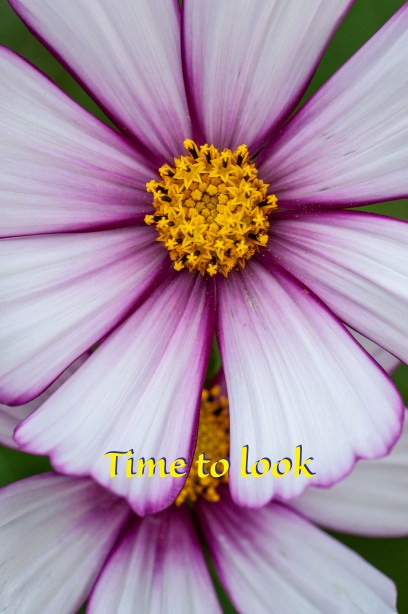 time to look edit cosmos