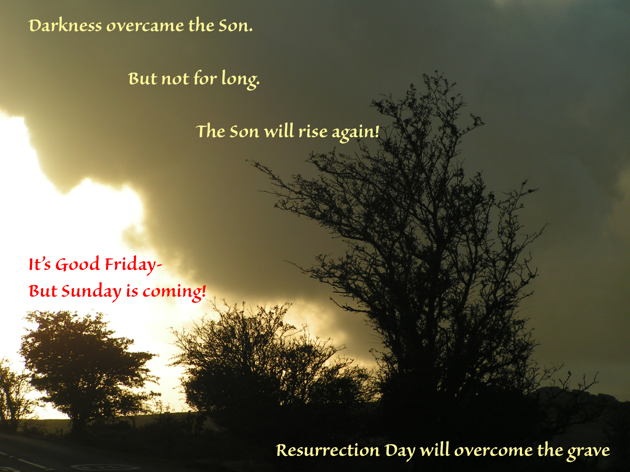 MINOLTA DIGITAL CAMERA